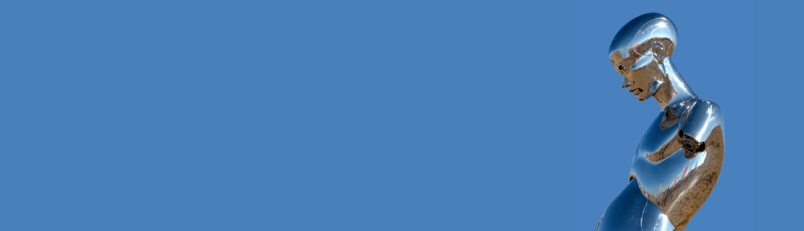 stainless steel bust sculpture